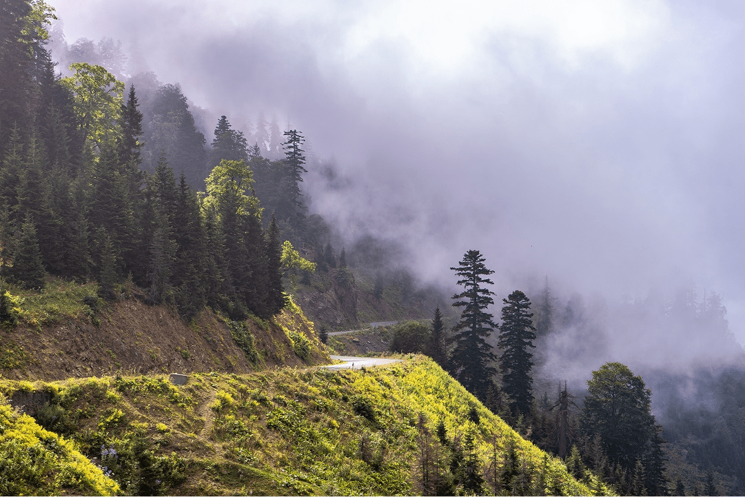 chasing fog – a morning in the highlands